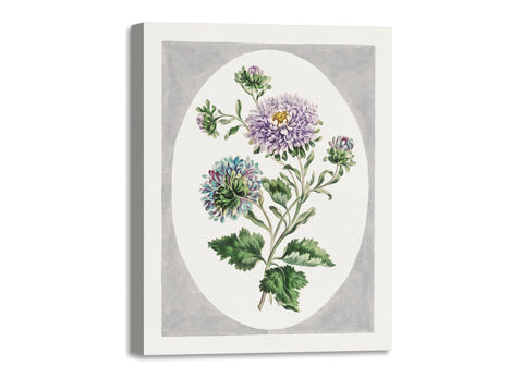 Quadro Stampa su Tela con Telaio in Legno John Edwards - Large Double-China Aster