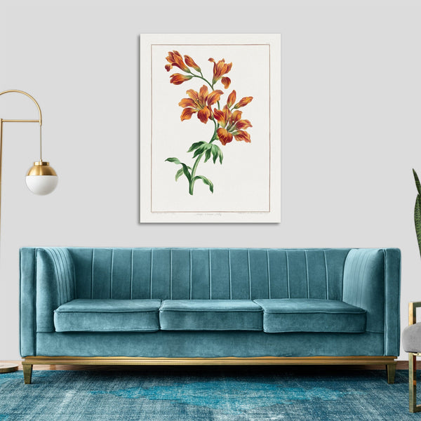 Quadro Stampa su Tela con Telaio in Legno John Edwards - Large Orange Lily