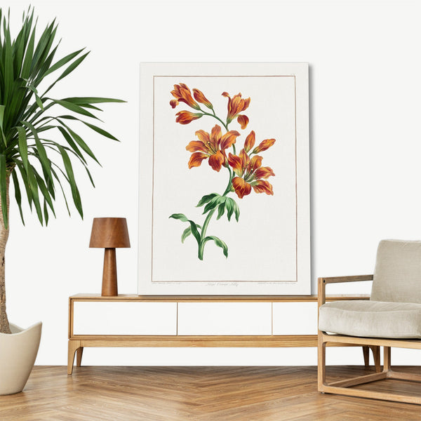 Quadro Stampa su Tela con Telaio in Legno John Edwards - Large Orange Lily