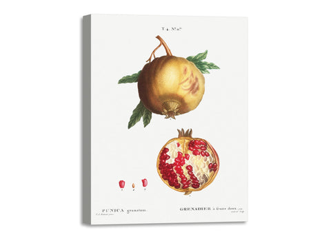 Quadro Stampa su Tela con Telaio in Legno Pierre-Joseph Redouté - Pomegranate