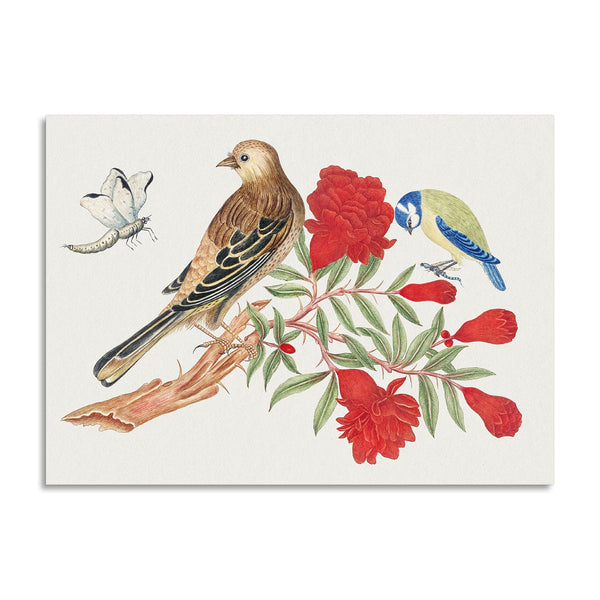 Quadro Stampa su Tela con Telaio in Legno Brown and black bird and blue and yellow birds