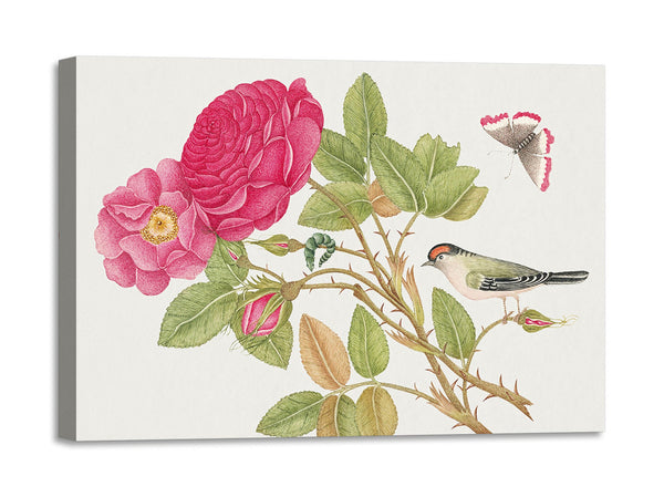 Quadro Stampa su Tela con Telaio in Legno Small red headed bird on rose branch