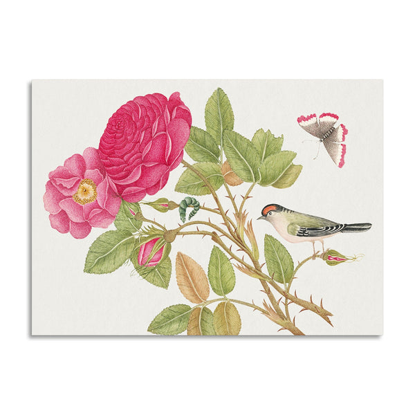 Quadro Stampa su Tela con Telaio in Legno Small red headed bird on rose branch