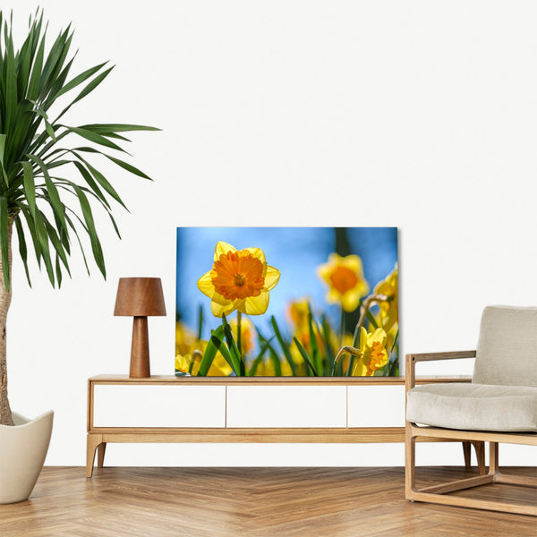 Quadro Stampa su Tela con Telaio in legno panorama fiori