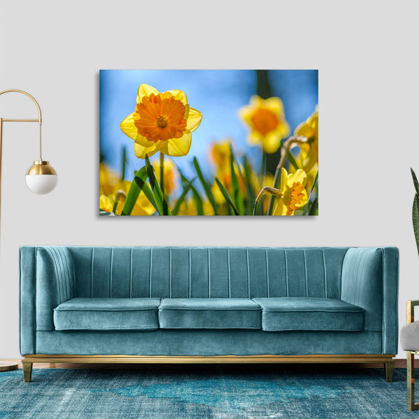 Quadro Stampa su Tela con Telaio in legno panorama fiori