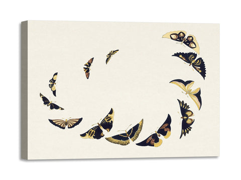 Quadro Stampa su Tela con Telaio in Legno Kamisaka Sekka - Japanese butterfly