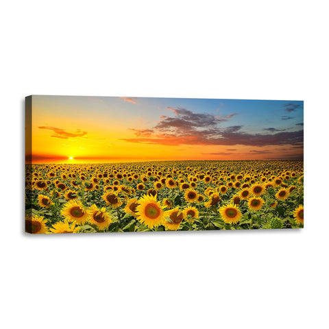 Quadro Stampa su Tela con Telaio in Legno paesaggio campo di girasoli