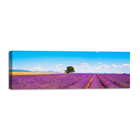 Quadro Stampa su Tela con Telaio in Legno paesaggio campo di lavanda provenza