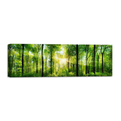 Quadro Stampa su Tela con Telaio in Legno paesaggio alberi