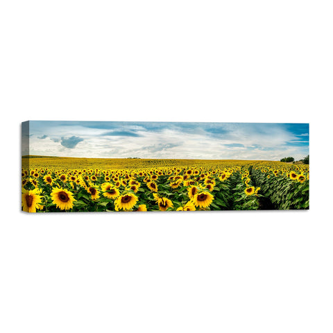 Quadro Stampa su Tela con Telaio in Legno paesaggio campo di girasoli