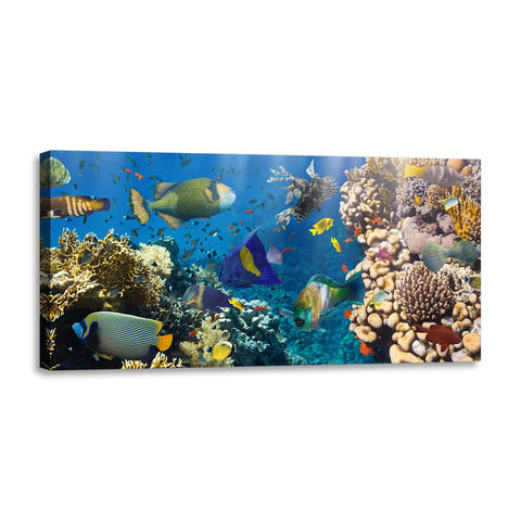 Quadro Stampa su Tela con Telaio in Legno paesaggio marino pesci tropicali