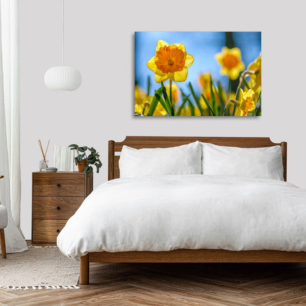 Quadro Stampa su Tela con Telaio in legno panorama fiori